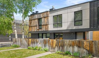 250 S Original St B, Aspen, CO 81611