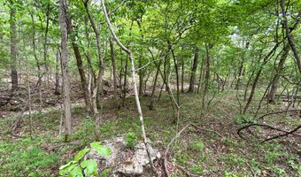 County Road 544, Bakersfield, MO 65609