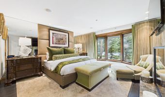 914 E Cooper Ave, Aspen, CO 81611