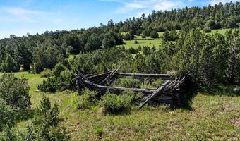 Old Homestead Ln, Beulah, CO 81023
