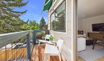 915 E Hopkins Ave 4, Aspen, CO 81611