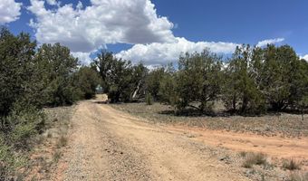 61 Norma Nw4 Rd, Ash Fork, AZ 86320