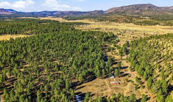 CR N2121, Alpine, AZ 85920