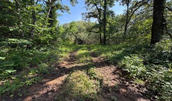 0 County Road 217, Blue Springs, MS 38828
