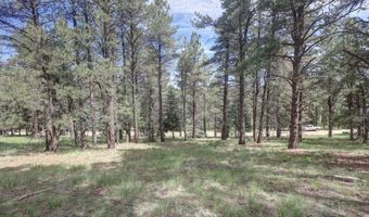 Lot 1311 San Pedro Dr, Angel Fire, NM 87710