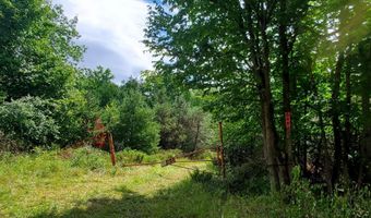 V/L 20AC Monaghan Point Road, Alpena, MI 49707