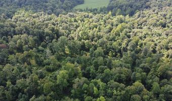 250 E Limeberry Rd, Paoli, IN 47454