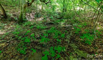 329 N Fork Rd, Barnardsville, NC 28709