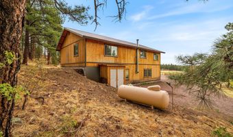 28 County Rd 2310, Alpine, AZ 85920