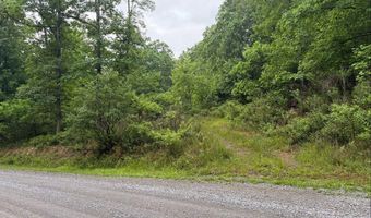 Tdb Cove Creek Rd, Bastian, VA 24314