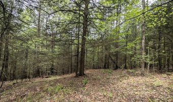 Stewart Road, Addison, NY 14801