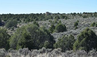 Matisse Road, Carson, NM 87517