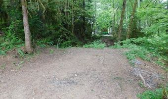 10286 RIDGE VIEW Ter, Birkenfeld, OR 97016