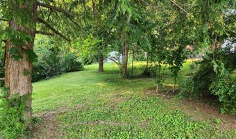 1107 Towanda Trl, Athens, TN 37303