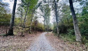 373 Spring Hill Rd, Duck Hill, MS 38925