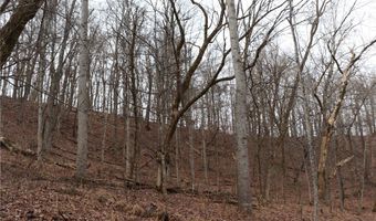 Route 12 Road, Alum Creek, WV 25003