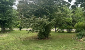 17432 Mo 19, Alton, MO 65606