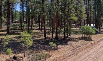 79 Spruce Way, Bayfield, CO 81122