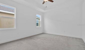 6214 Sea Amber Ln, Apollo Beach, FL 33572
