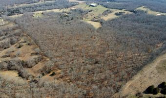 Rr 1 Box 6548, Ava, MO 65608