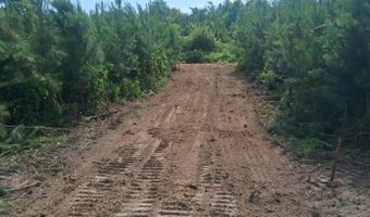Tract 2 Tucker Road, Bath Springs, TN 38311