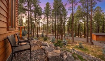 24 County Rd 2267, Alpine, AZ 85920