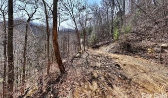 99999 Green Ridge Falls Rd 17, Barnardsville, NC 28709