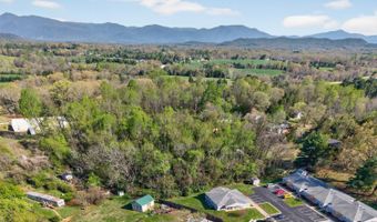 150 Mount Olive Rd, Amherst, VA 24521