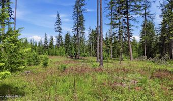 NNA Estate at Farragut Lot 3 Blk 1, Athol, ID 83801