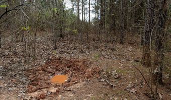 Tbd Pump Station Rd, Ashdown, AR 71822