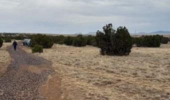 78 County Road 8010, Concho, AZ 85924