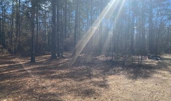 3481 County Rd 81, Abbeville, AL 36310