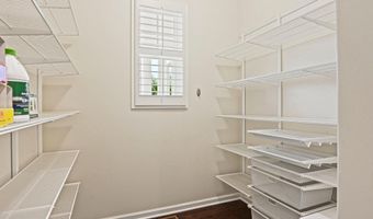 25801 YELLOW BIRCH Ct, Aldie, VA 20105