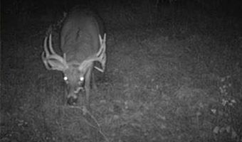 652 Nd St, Albia, IA 52531