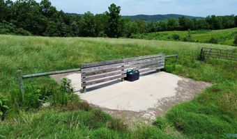 120 Carnes Chapel Rd, Attalla, AL 35954