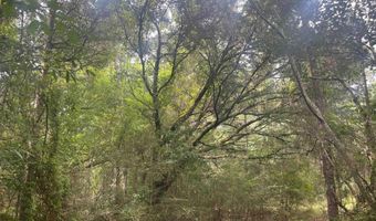 0 McDowell Rd, Bay Minette, AL 36507