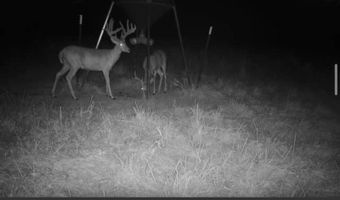 060 W State Hwy 31, McAlester, OK 74501