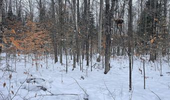 9606 MUNGER Rd, Afton, MI 49705