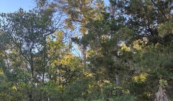 50 Th St, Bell, FL 32619