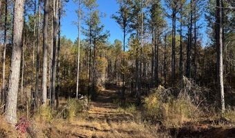 Hwy 9, Bruce, MS 38915