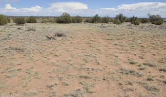 19 C & D County Rd N9033, Concho, AZ 85924