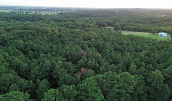 120 Little River 180, Ashdown, AR 71822