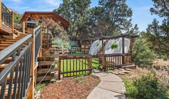 679 Pinon Dr, Basalt, CO 81621