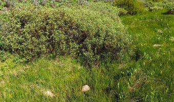 CARROLL Lane, Daniel, WY 83115