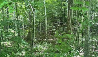 Mountain Road lot Map 25 Block A Lot 2.43 Lot Size 2.11, Chesterfield, NH 03466