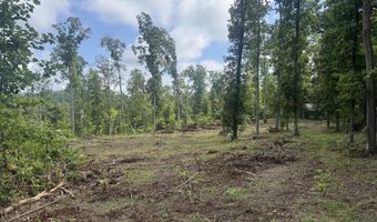 Tract 2 Mill Creek Rd, Andersonville, TN 37705