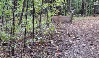 905 Neptune Trl, Appling, GA 30802