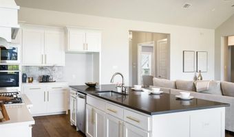 1510 Colby Ct, Allen, TX 75002
