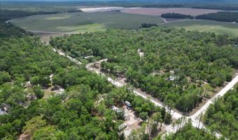 6489 11th Ave, Bell, FL 32619