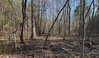 MOUNTAIN CUT RD lot C, Appomattox, VA 24522